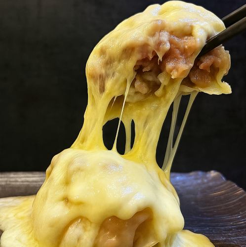 介紹禁忌融化的起司燒賣