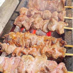 串焼盛り合わせ　ほるもん通になりたい方！ 長門盛り＜弐＞ればー、はらみ、はつ