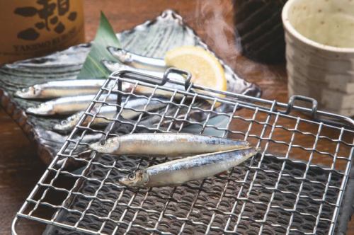 Grilled silver-striped herring