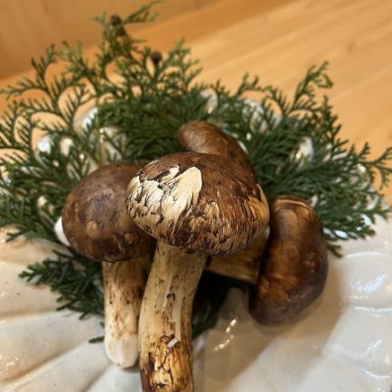 【午餐】增田的13,000日圓套餐