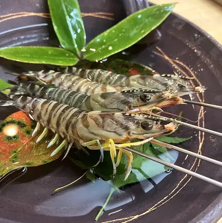 【四季を感じる】お料理ます田のコース料理 20,000円