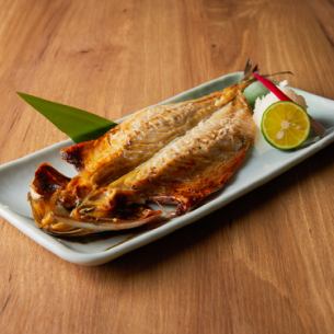 宮城沖・金華サバ