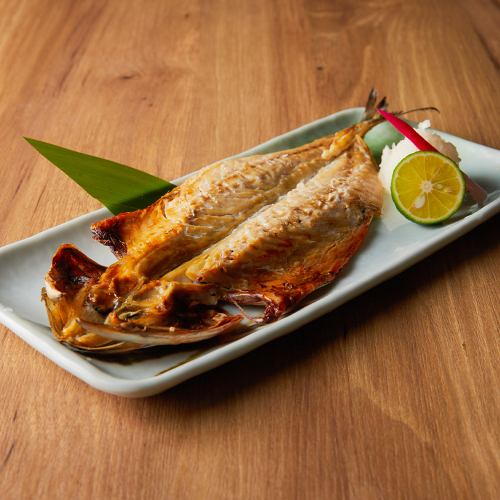 宮城沖・金華サバ