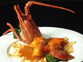 【特別宴席套餐】【4】包含特製醬汁鮑魚和魚翅湯的豪華十道菜套餐：8800日元