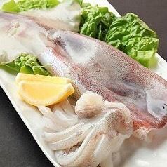 イカ