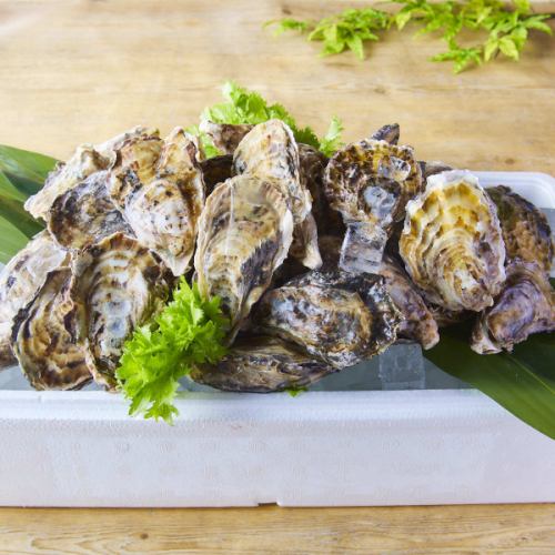 牡蠣食べ放題始めました◎