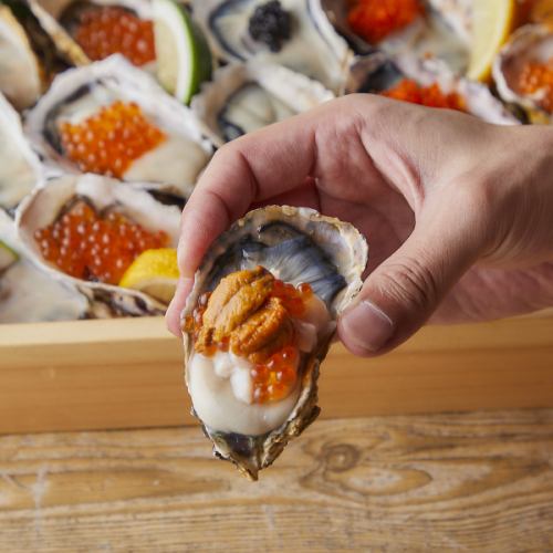 Fresh oysters available all year round