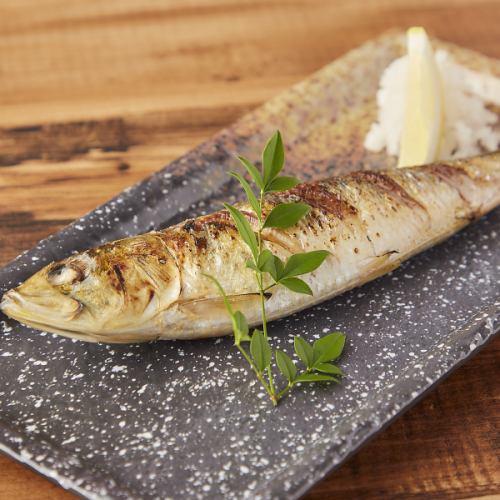 Grilled sardine