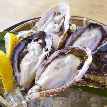 直送新鮮魚♪鮮度にこだわった逸品をご提供いたします！