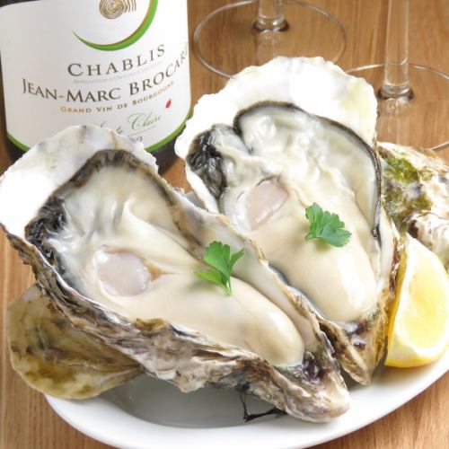 Raw oysters with shell