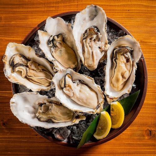 Raw oysters