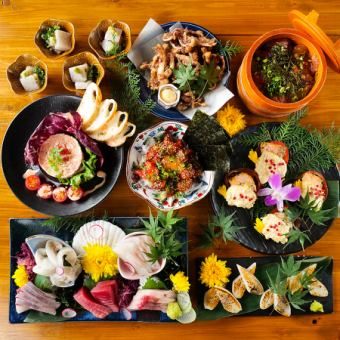 鮮度抜群の鮮魚五種、サーモングリル、彩り海鮮手ごね寿司など 全8品 2.5h飲み放題付 6000円