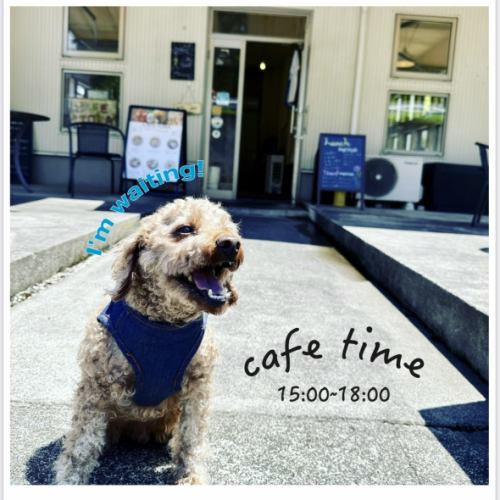 Pets are allowed during cafe time from 3pm!