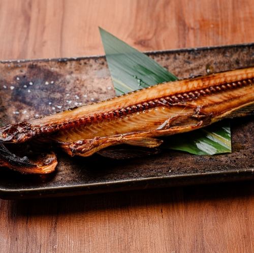 なまらでっかいほっけ焼き