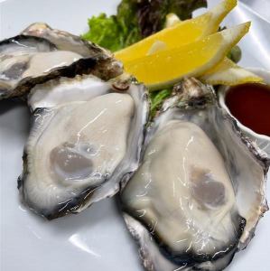 Raw oysters (1 piece)
