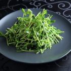 豆苗炒め
