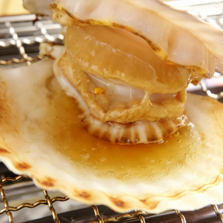 Scallops with live shells (1)