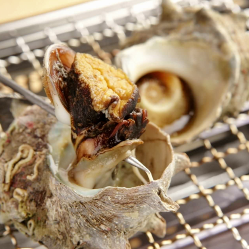 Live turban shell grilled (1 piece)