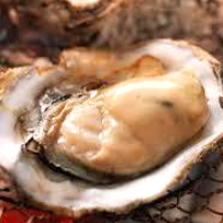 Oysters (1)