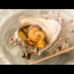 Grilled Turban Shell