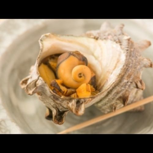 Grilled Turban Shell