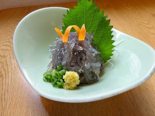 Enoshima's specialty: raw whitebait