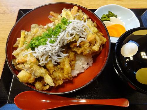 Shirasu and vegetable tempura rice bowl