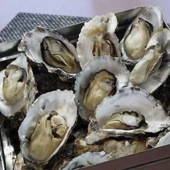 10/11スタート!【1時間】蒸し焼き牡蠣食べ放題!◎★飲み放題付き4000円(税込)