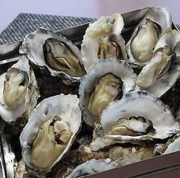 10/11スタート!【1時間】蒸し焼き牡蠣食べ放題!◎★飲み放題付き4000円(税込)