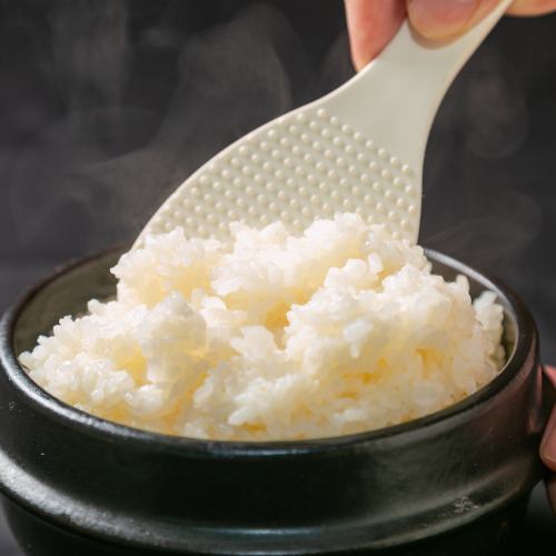 Rice (Medium)