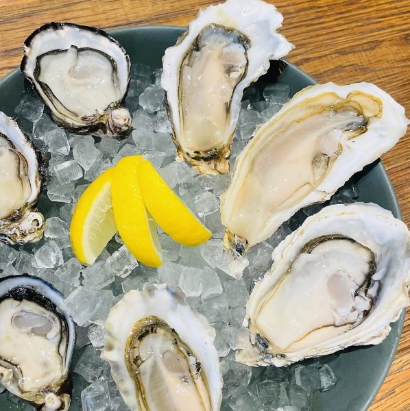 [HAPPY HOUR from 5:00 PM to 6:30 PM] Get great deals on raw oysters!