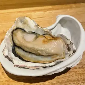 Unglazed/1 piece