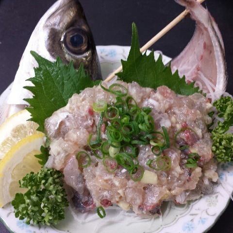 Let's lick horse mackerel