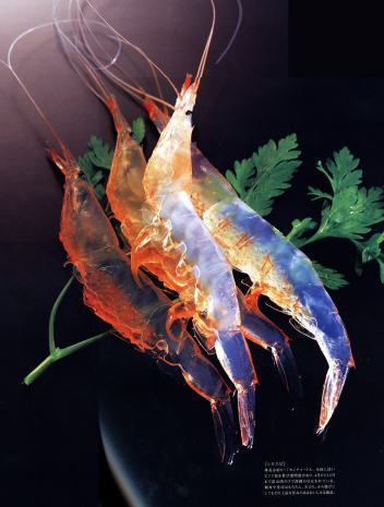 White shrimp (from Shinminato) sashimi