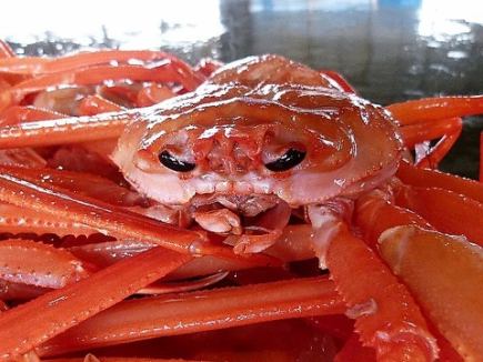 16500円秋の味覚コース【『のど黒』『白海老』をはじめ、北陸の食材をお楽しみ頂けます】