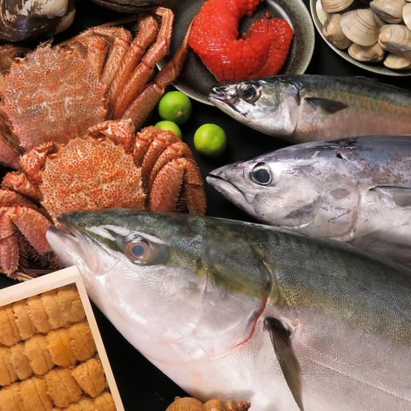 ≪毎日直送≫日本各漁港の新鮮魚介を堪能。