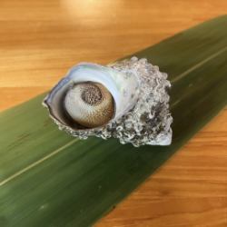 サザエ