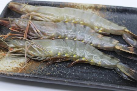 Salt-grilled shrimp