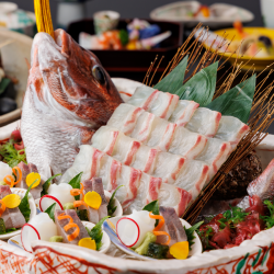 时令怀石料理配全鱼刺身（富士）