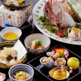 ≪ 도미 참나무 계절 회석 (아카시 아카시)