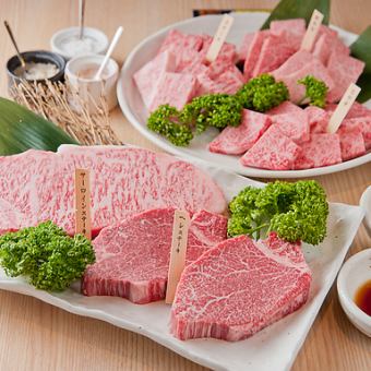Must try at least once! Assorted Yakiniku & Steak