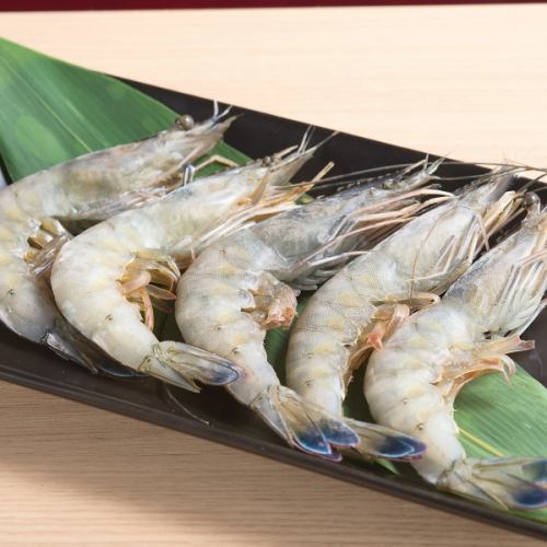 天然くるま海老