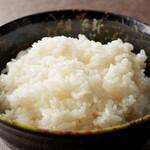 ごはん 中
