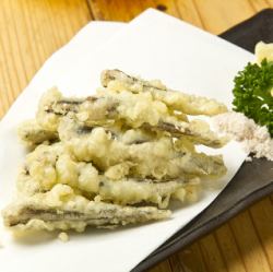 Small sardine tempura