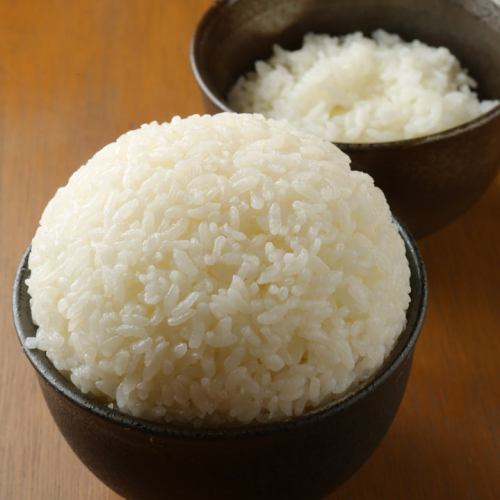 白ごはん