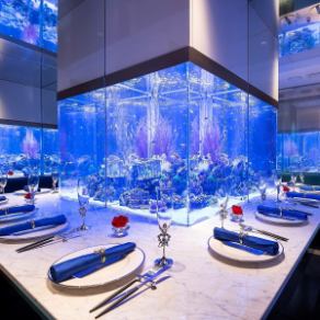 A luxurious complete private room like the first class cabin of a luxury liner.Each room is equipped with a large aquarium, where you can enjoy your meal while watching the elegant swimming of the fish.