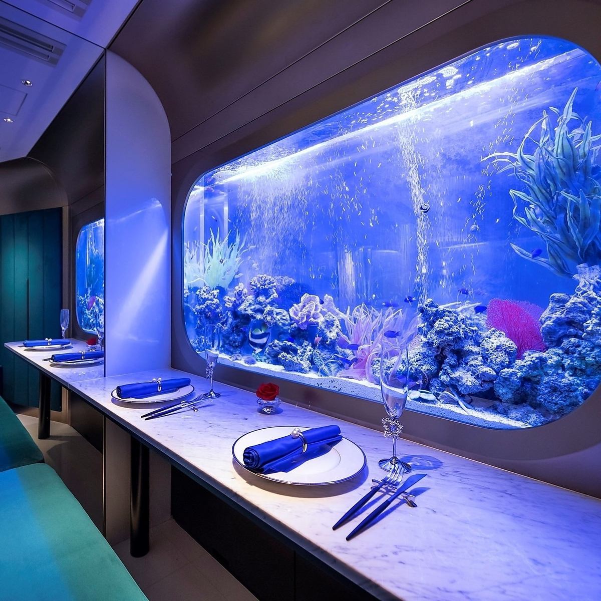 鱼儿在水族馆里漂亮地洄游，营造出梦幻浪漫的空间