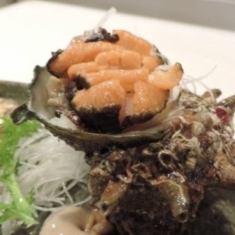 《夜のお任せコース》季節のお料理　魚介類中心【13,200円（税込）～※詳細はお電話で要相談】