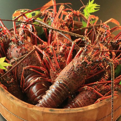 四季折々の魚介をお愉しみいただけます。
