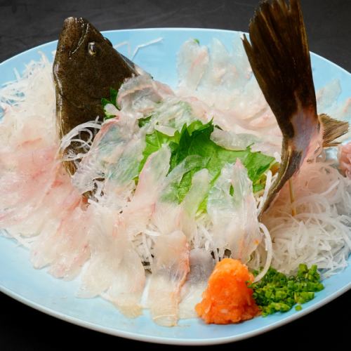 Flounder sashimi